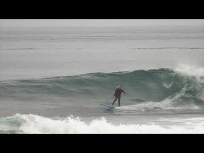 6'4 Gerry Lopey Something Fishy